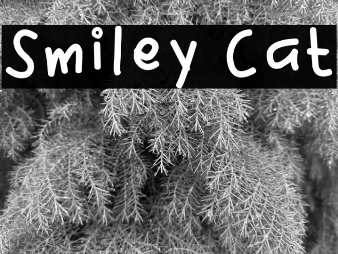 Smiley Cat Font examples