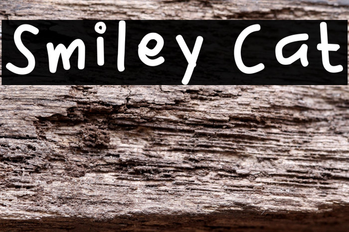 Smiley Cat Example 2