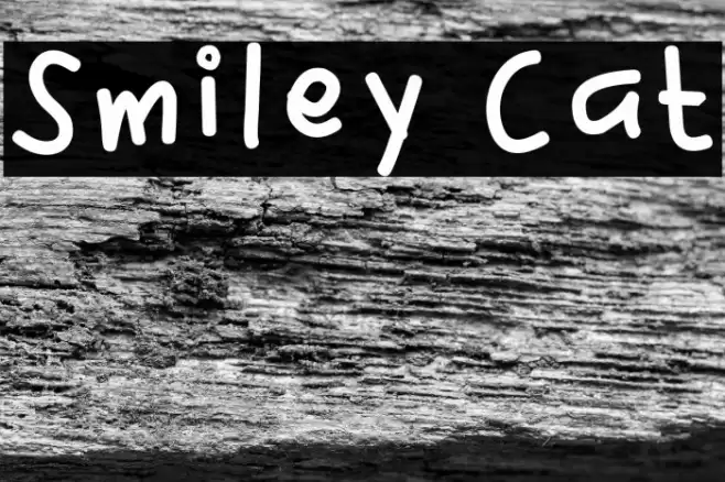 Smiley Cat Font examples