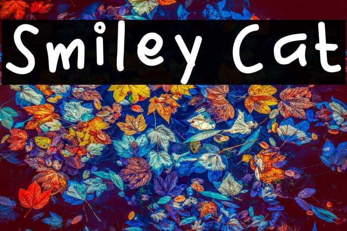 Smiley Cat Example 3