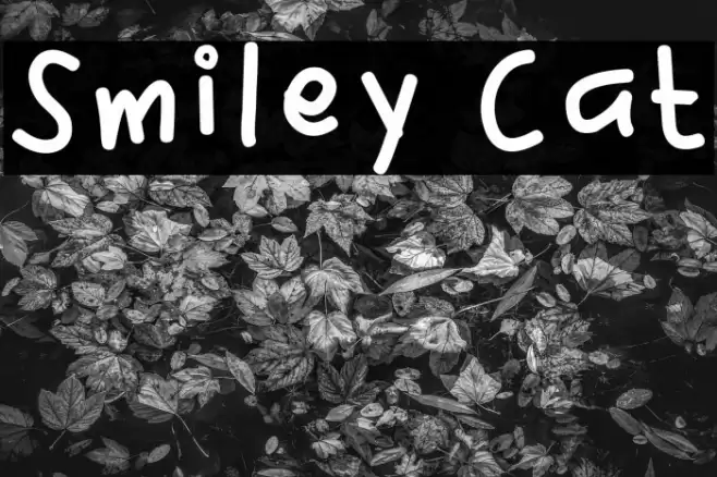 Smiley Cat Font examples