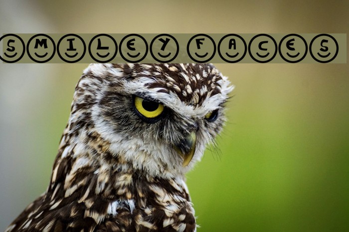 Smiley Faces Font examples