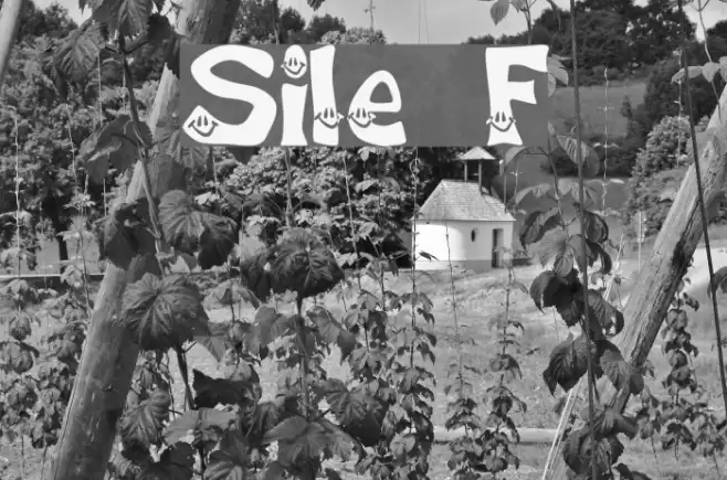 Smiley Font Font examples