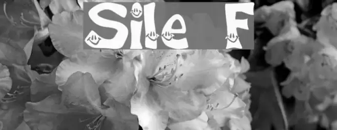 Smiley Font Font examples