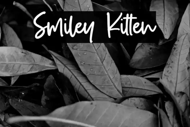 Smiley Kitten Шрифта examples