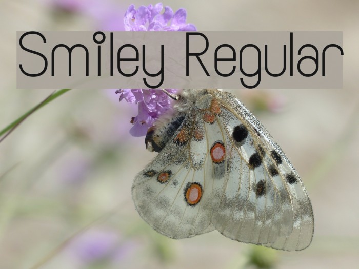 Smiley Regular Font examples