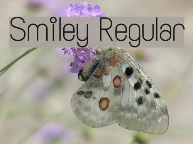Smiley Regular Example 1
