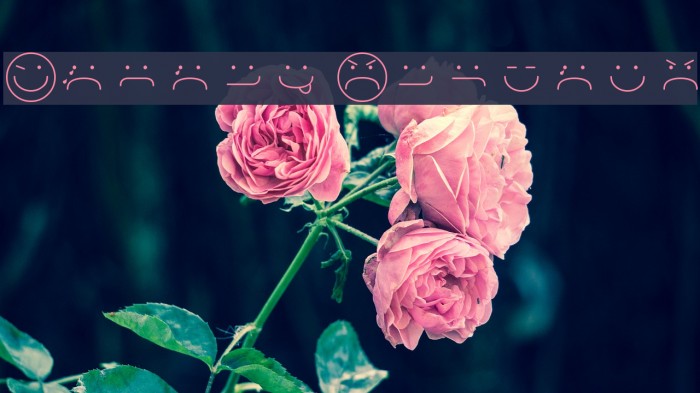 Smiley Regular Example 1