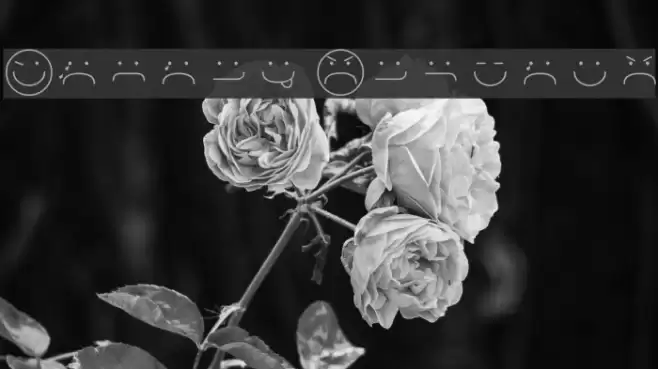 Smiley Regular Font examples