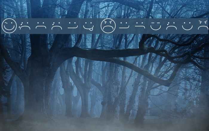 Smiley Regular Example 2