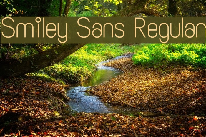 Smiley Sans Regular Font examples