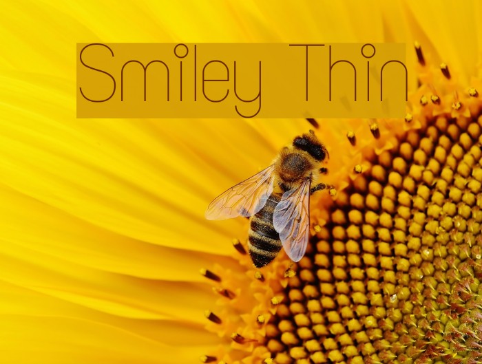 Smiley Thin Font examples