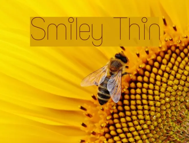 Smiley Thin Example 1