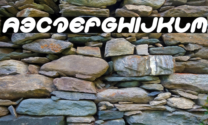 Smiley Turtle Bold Italic Example 1