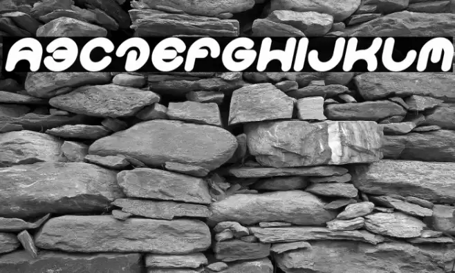 Smiley Turtle Bold Italic Font examples