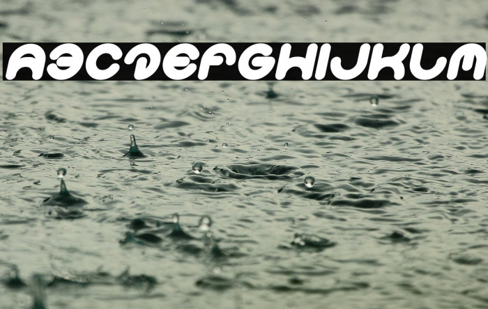 Smiley Turtle Bold Italic Example 2