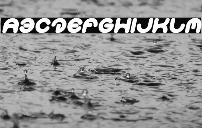 Smiley Turtle Bold Italic Font examples