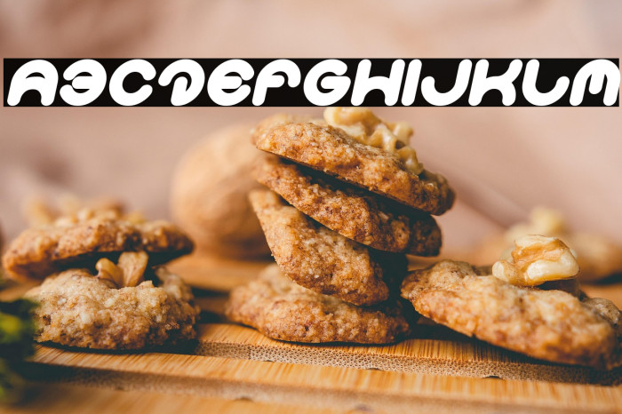 Smiley Turtle Bold Italic Example 3