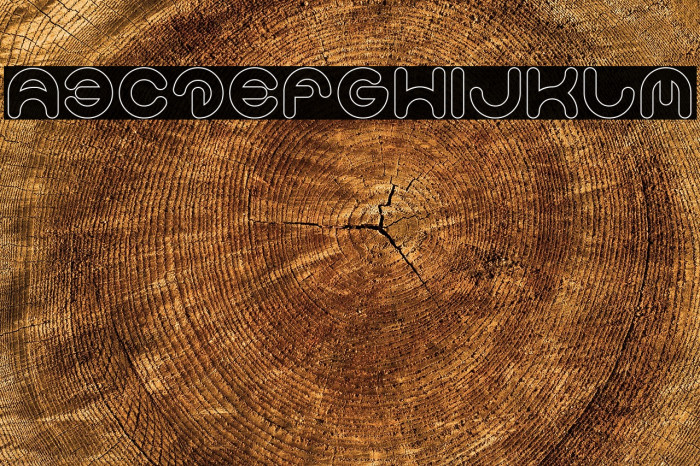 Smiley Turtle-Hollow Example 2