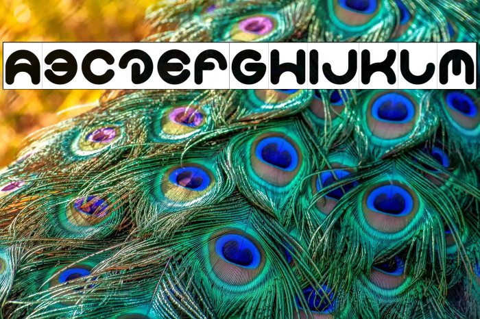 Smiley Turtle-Inverse Example 2