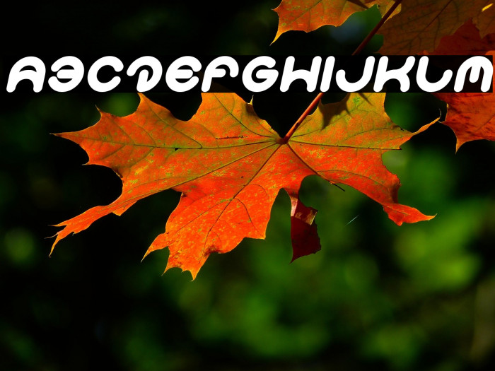 Smiley Turtle Italic Example 1