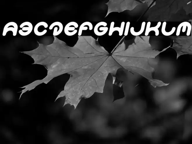 Smiley Turtle Italic Font examples