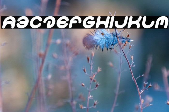 Smiley Turtle Italic Example 2