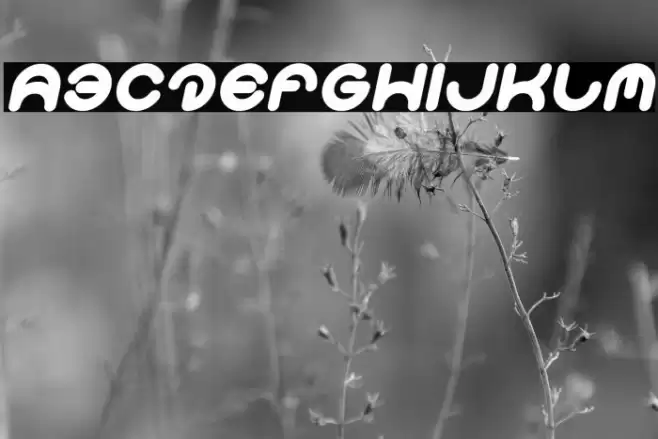 Smiley Turtle Italic Font examples