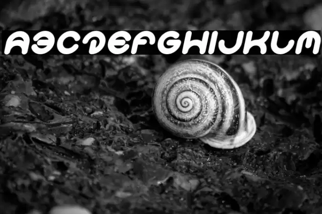 Smiley Turtle Italic Font examples