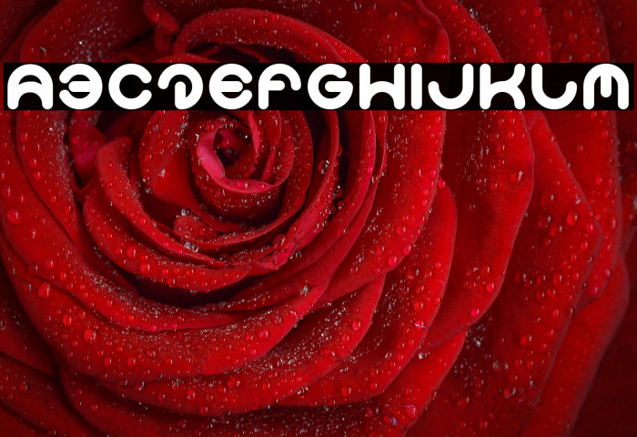 Smiley Turtle-Light Example 3