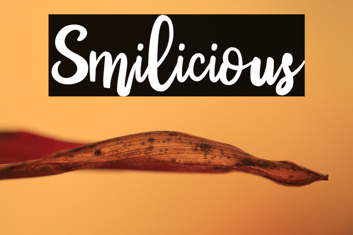 Smilicious Example 2