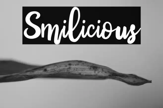 Smilicious Font examples