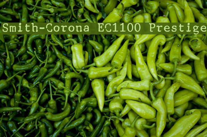 Smith-Corona EC1100 Prestige Polices examples
