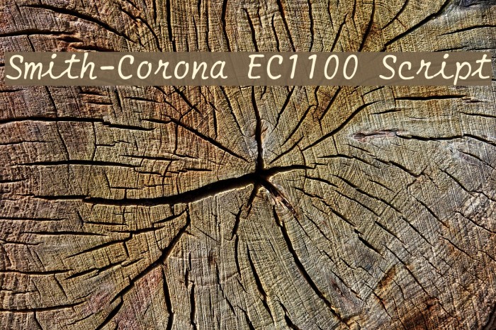 Smith-Corona EC1100 Script Font examples