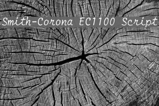 Smith-Corona EC1100 Script フォント examples