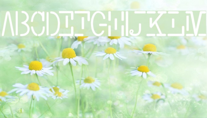 Smith-TypewriterFree Example 1