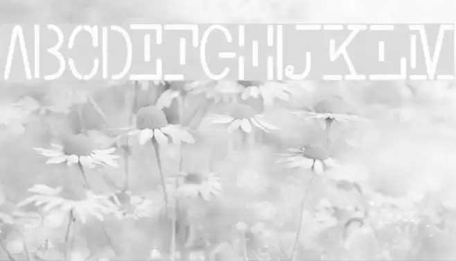 Smith-TypewriterFree Font examples