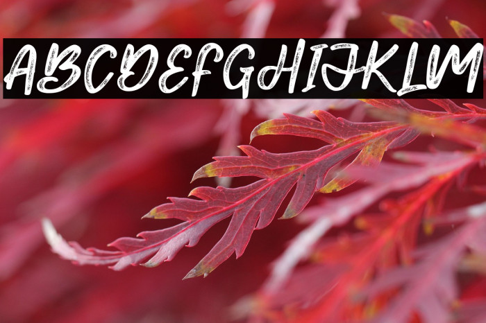 Smith mouth Example 1