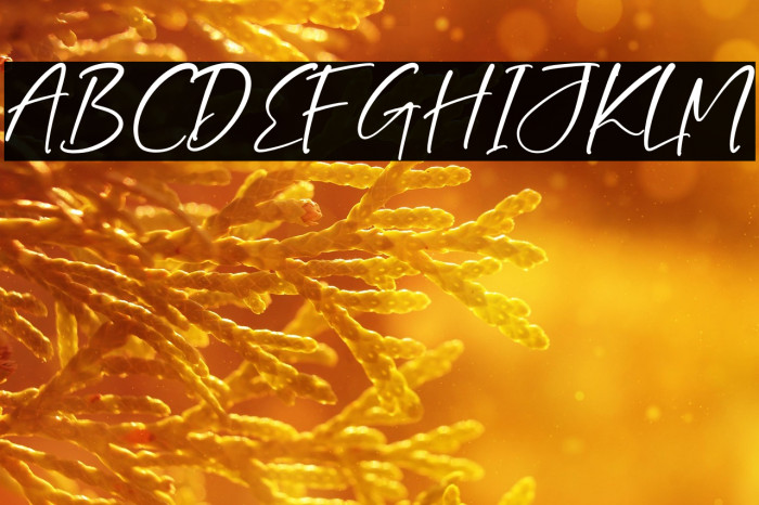 Smithen Goulding Example 3