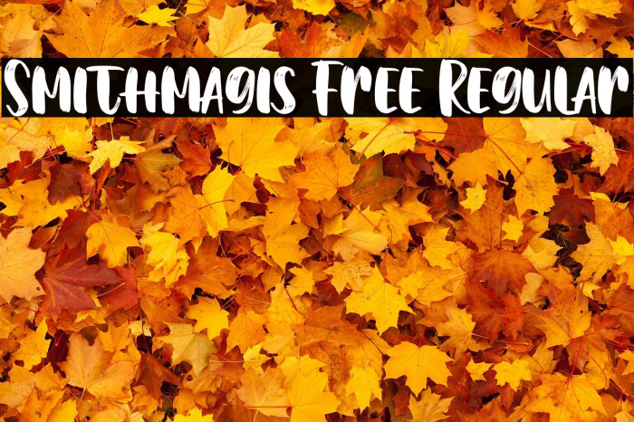 Smithmagis Free Regular Example 1