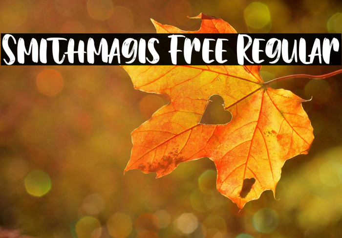 Smithmagis Free Regular Example 3