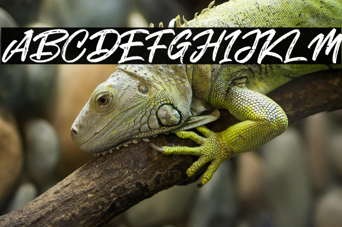 Smoke Attack Example 1