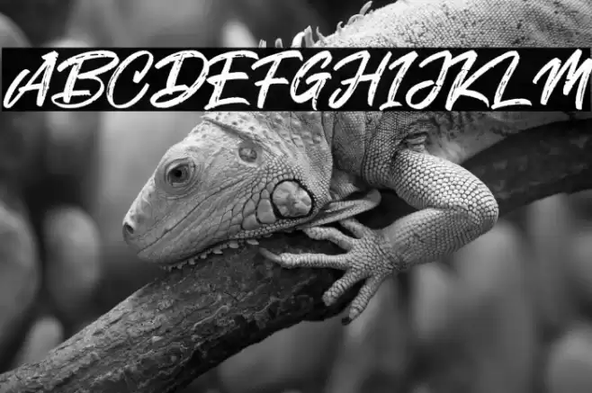 Smoke Attack Font examples