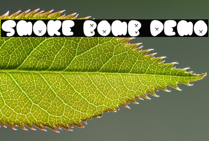 Smoke Bomb Demo Example 1