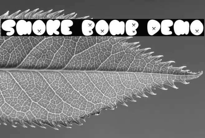 Smoke Bomb Demo Schriftart examples