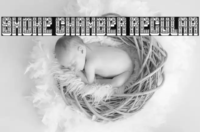 Smoke Chamber Regular Font examples
