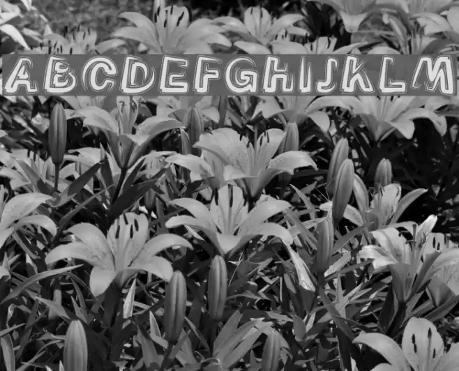 Smoke-Contour-Italic Font examples