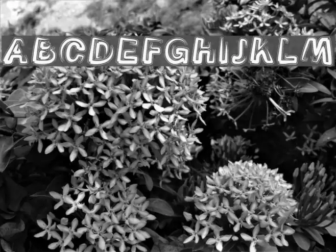 Smoke-Contour-Italic Font examples