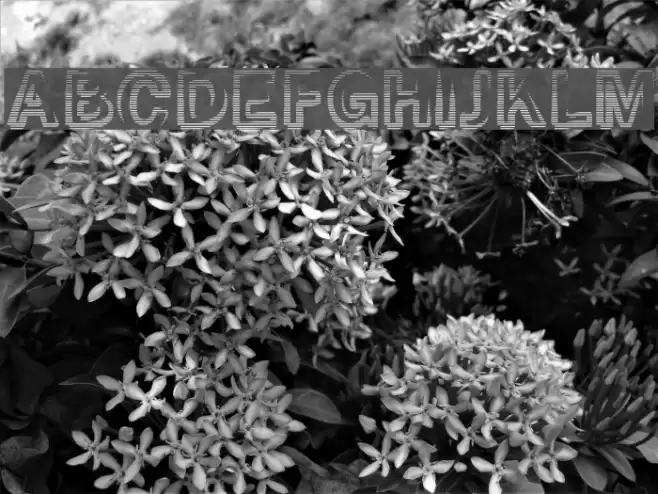 Smoke-Rasterized-Medium フォント examples