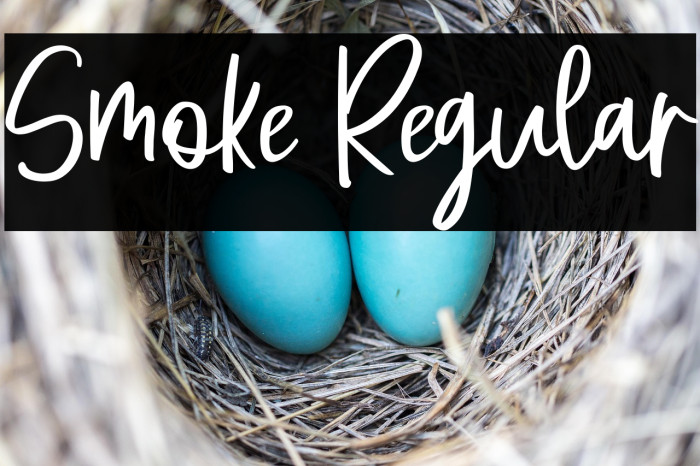 Smoke Regular Example 3